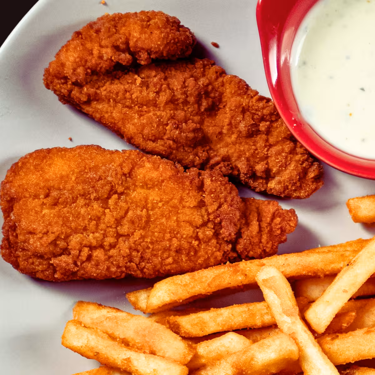 2 Pcs Breaded Tenders with Fries